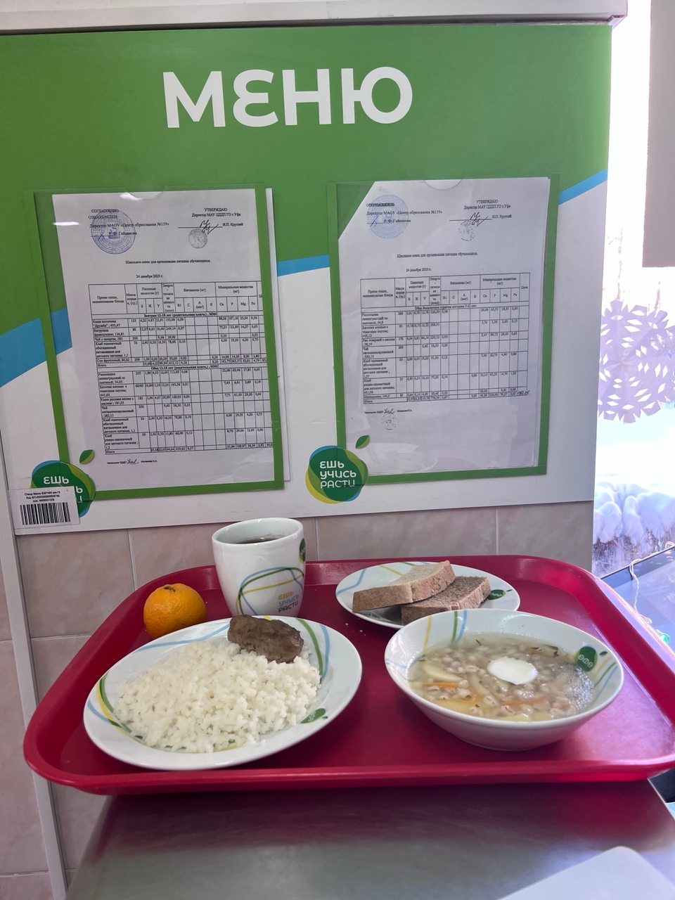 81PA5bYCZ7etTgx1EDDgnoVyZxHLNTu8uB6AC3yVgQM2geXZ6boR 1KmNDHJMbyqPgSrTMXBF8nT6RNThd1ZjBIC